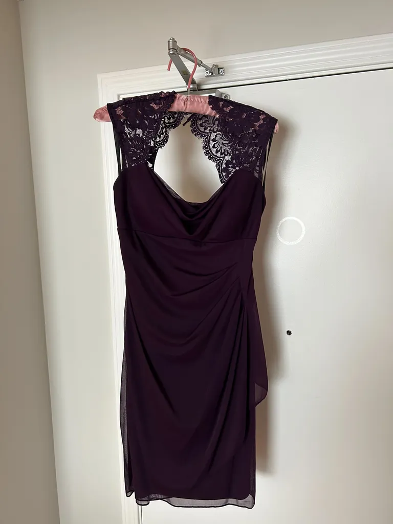 Plum Size 4 Dress photo 1