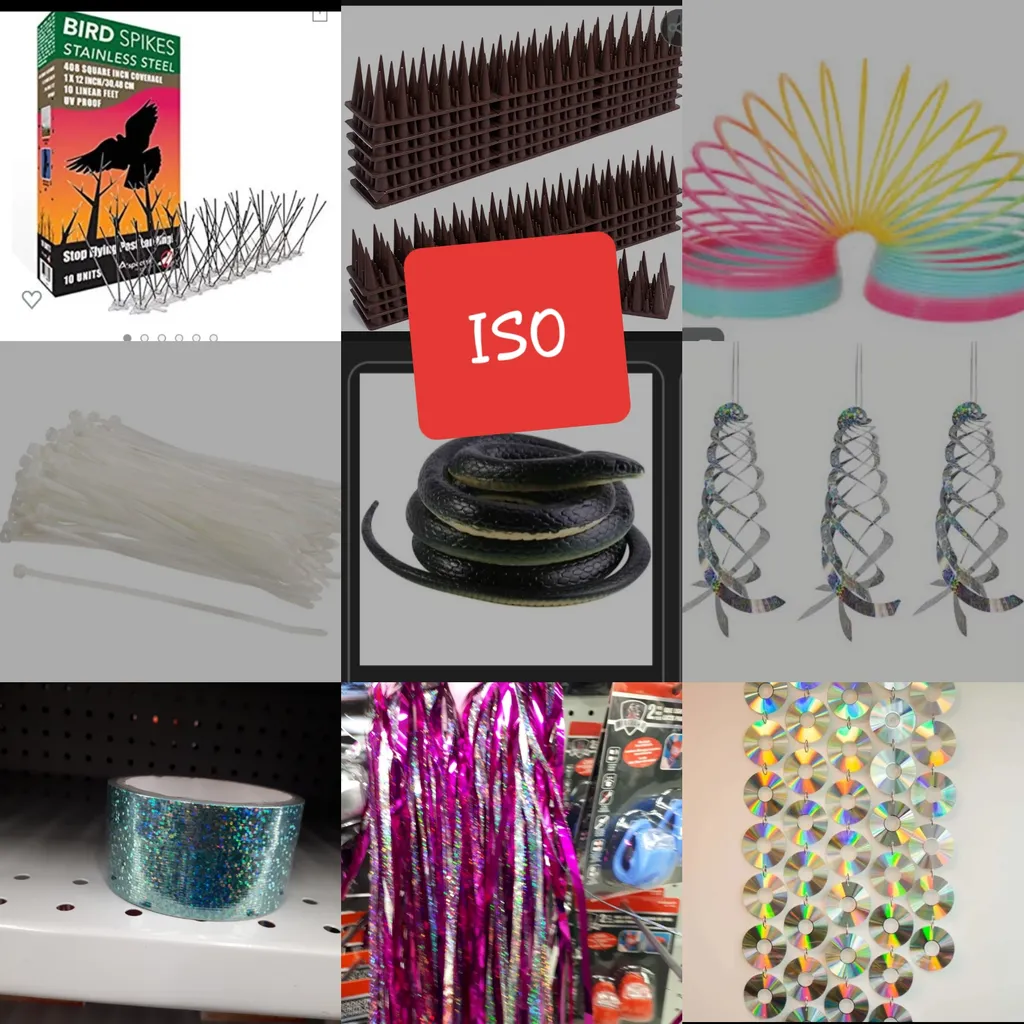 Pigeon Deterrents photo 1