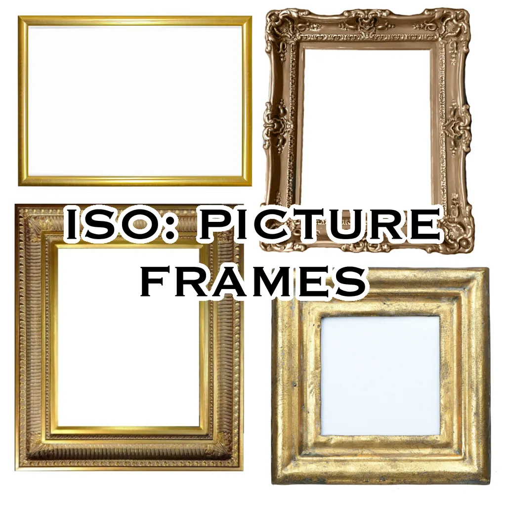 ✨ ISO: PICTURE FRAMES ✨❗ photo 1