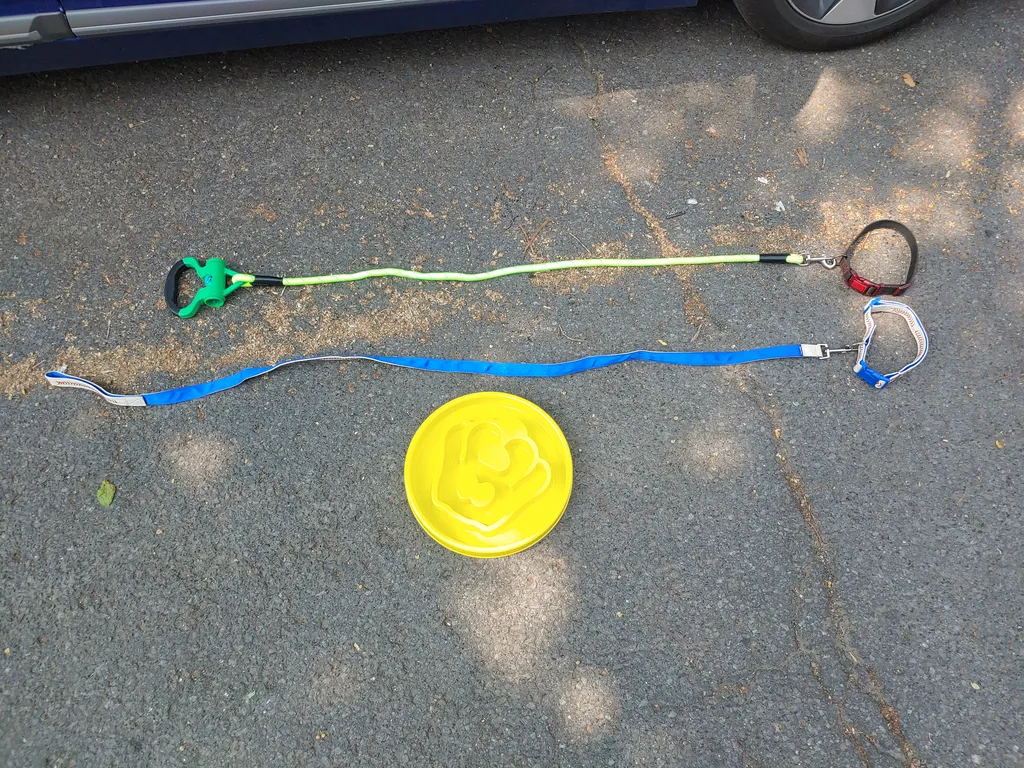 Dog leashes and collars  photo 1