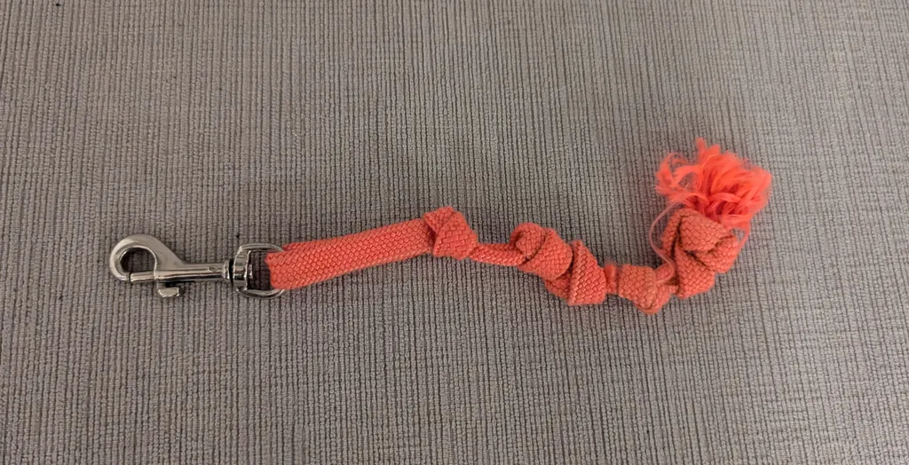 Orange Lanyard photo 1