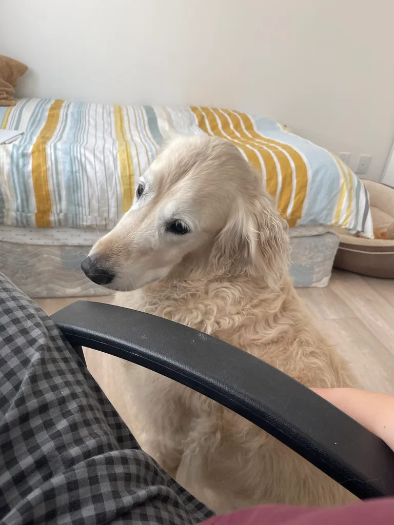 Roommate in Oakville! photo 1