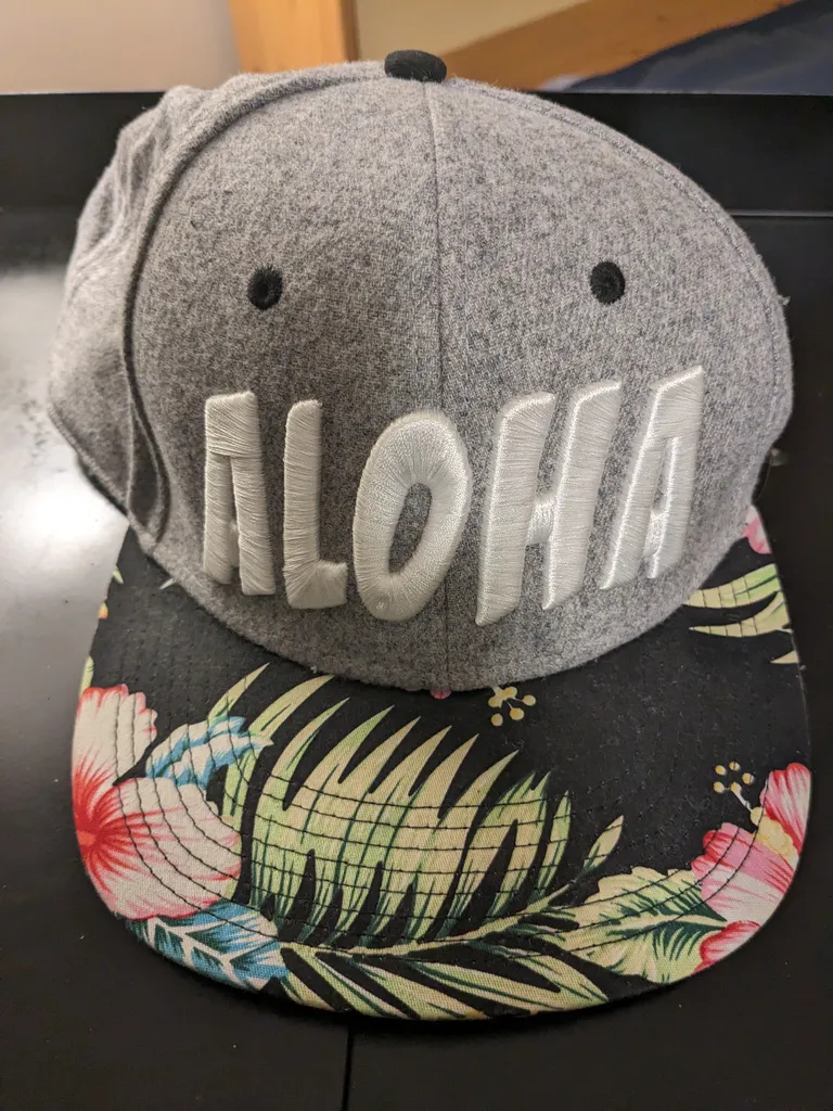 Aloha Snapback  photo 1
