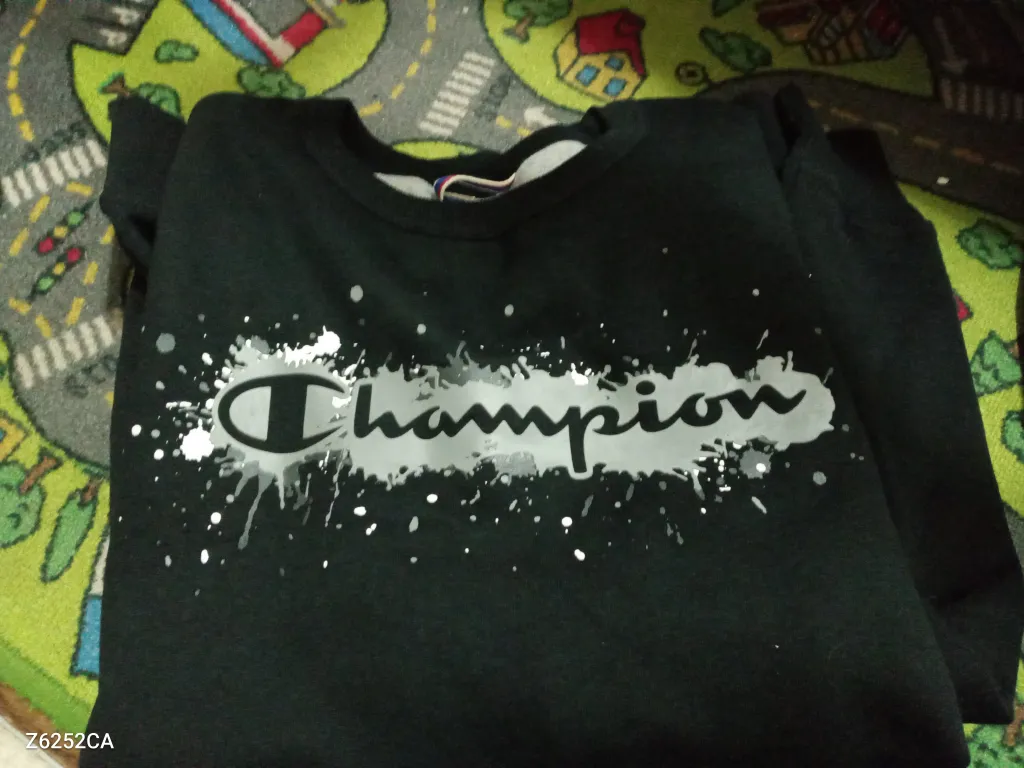 Champion sweater size large unisex photo 1