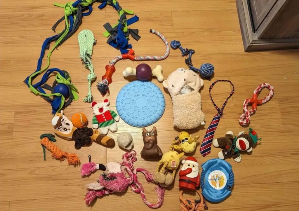 Bundle of Various Dog Toys  photo 1