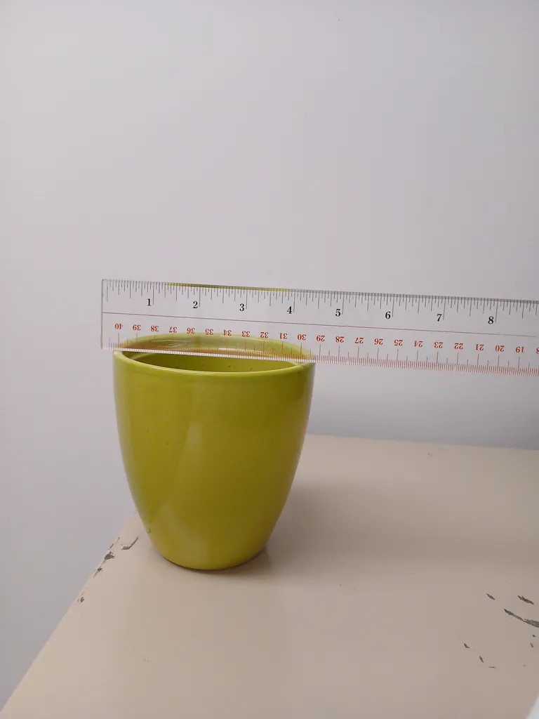 Indoor plant pot photo 1