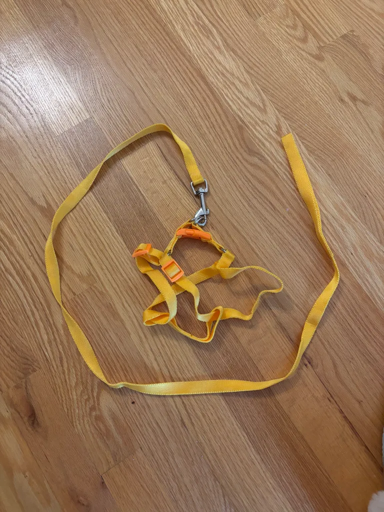 Dog harness and leash  photo 1
