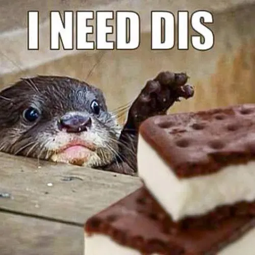 My ISOs (at the moment) photo 1