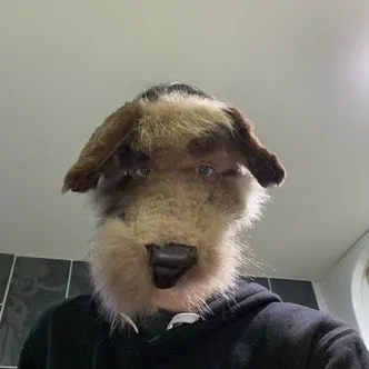 Handmade Furry Dog Mask - Halloween costume 🐶 photo 1