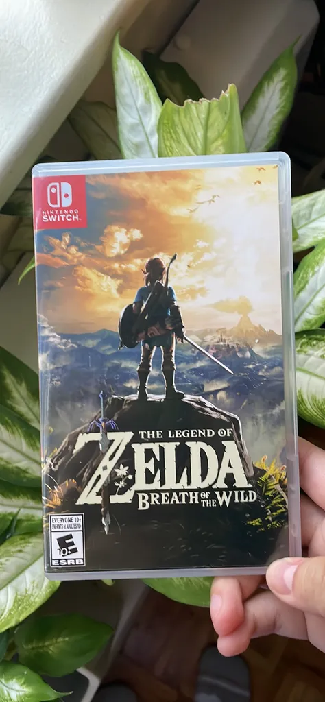 Breath of the wild  photo 1