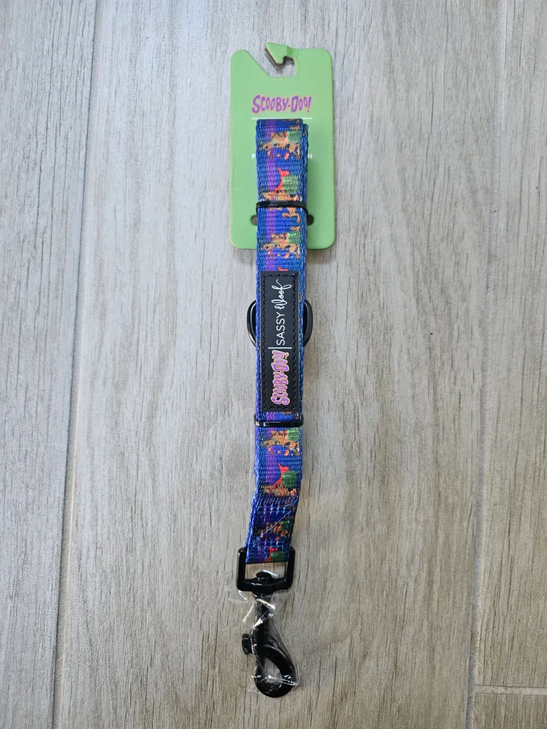 Dog Leash - Scooby-Doo design photo 1