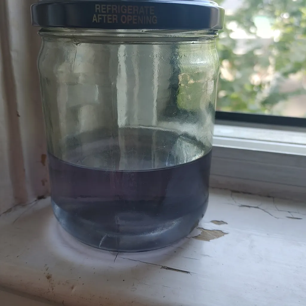 Small batch ghost pipe tincture photo 1