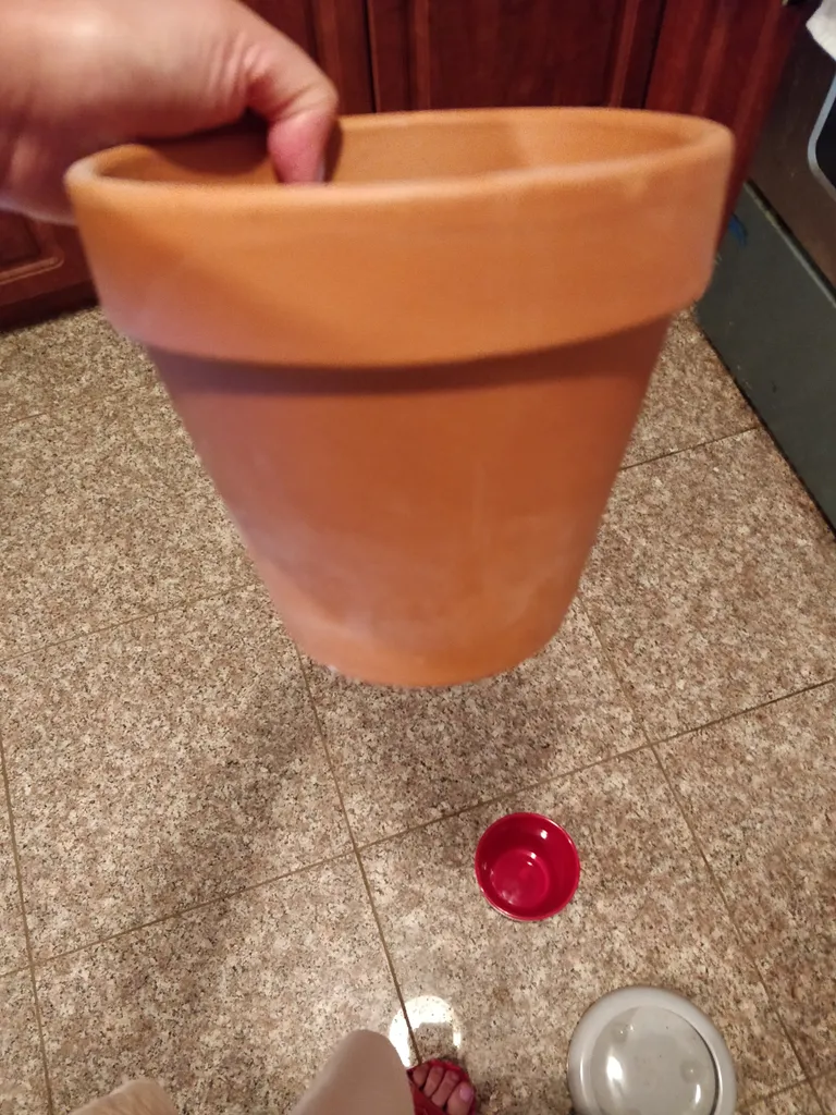 Terracotta pot photo 1