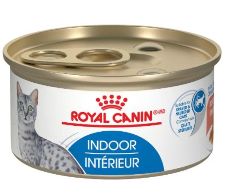 Royal canin canned cat food photo 1