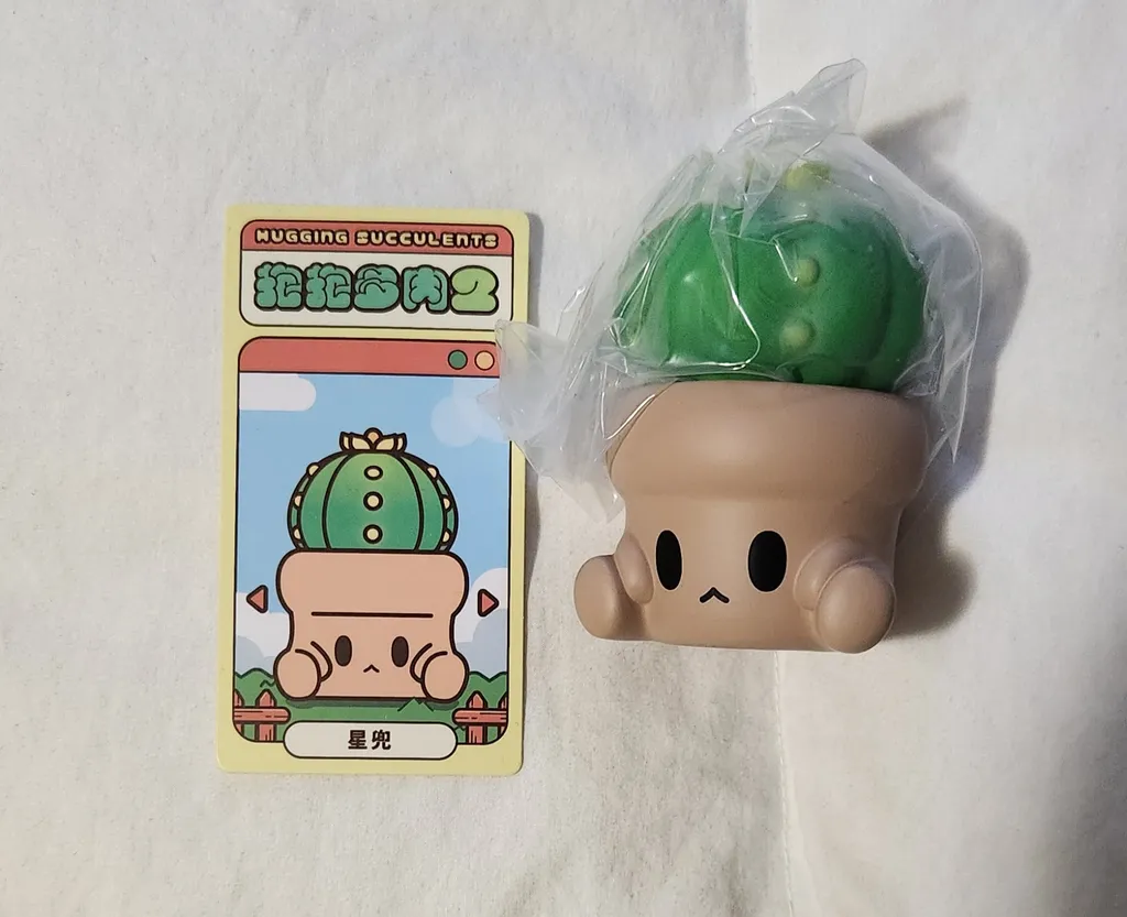 Penpot Hugging succulent Blind box figure photo 1