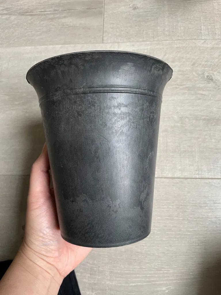 Black Plastic Planter photo 1