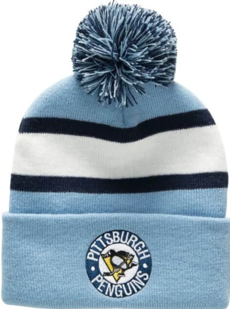 Pittsburgh penguins  photo 1