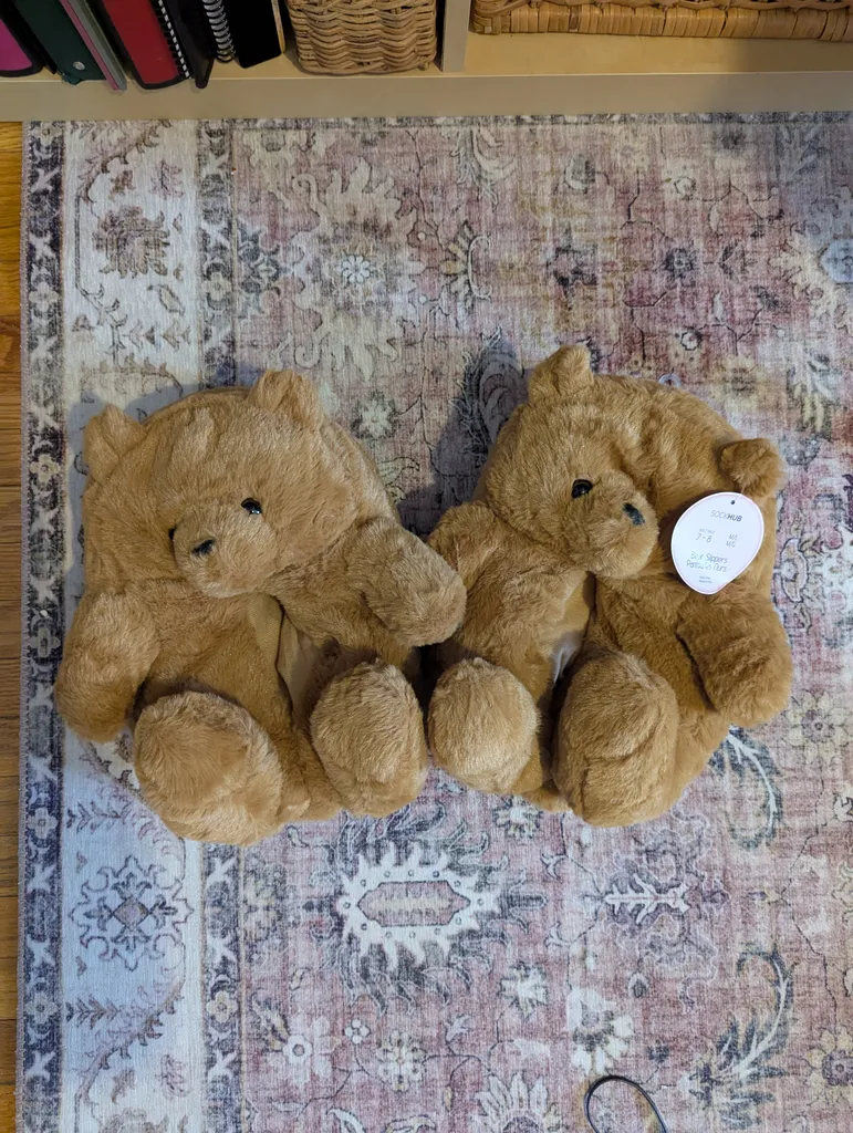 Bear Slippers photo 1