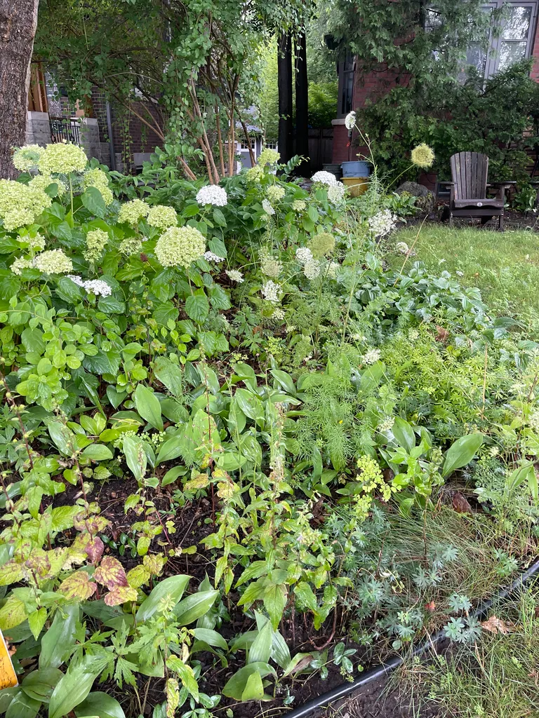 Do you like weeding /gardening?  photo 1