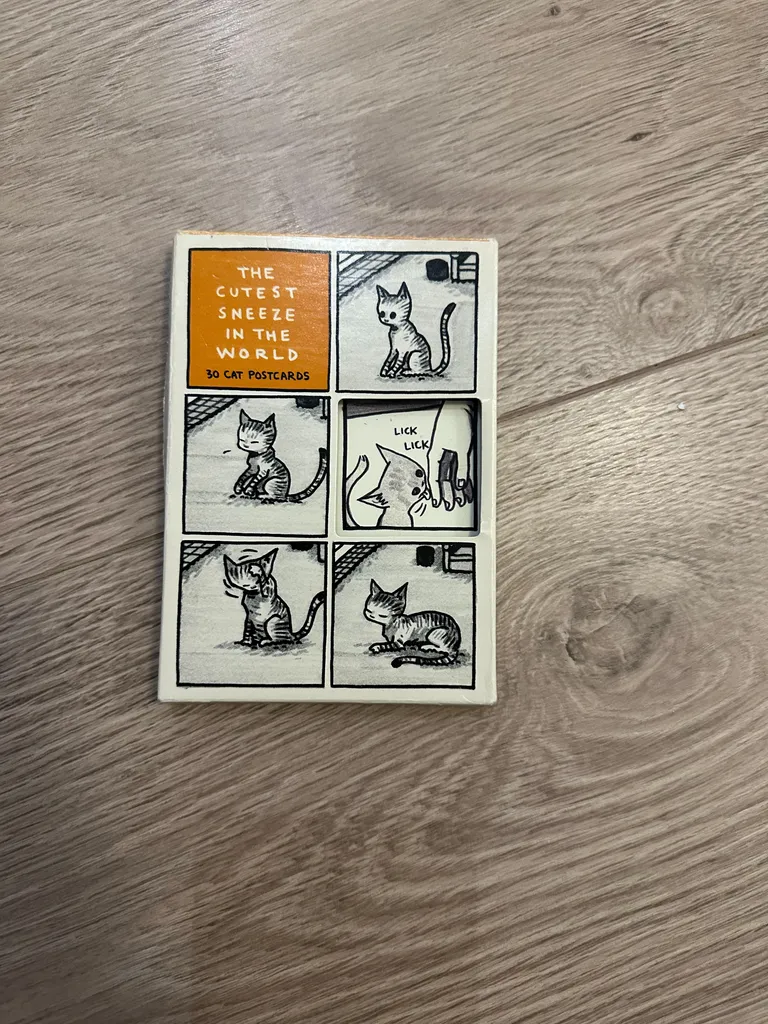 The Cutest Sneeze in the World - Cat Postcards photo 1