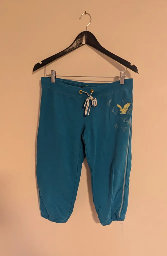 American Eagle Outfitters Blue Capri Sweatpants - Women's Medium photo 1