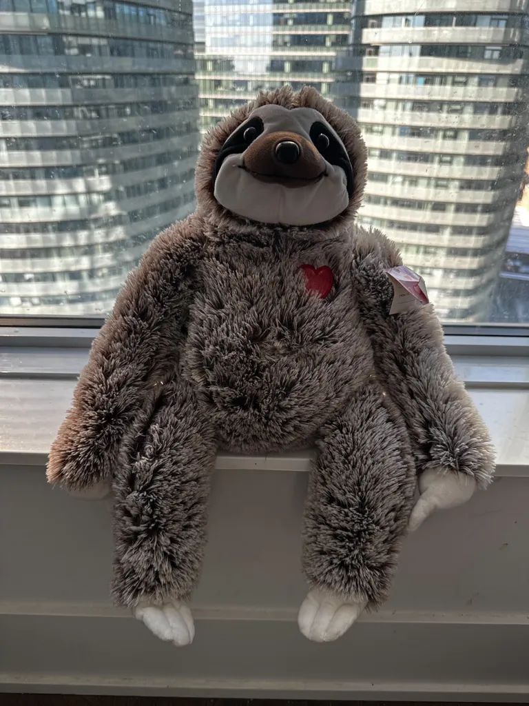 Stuffed Sloth Friend photo 1