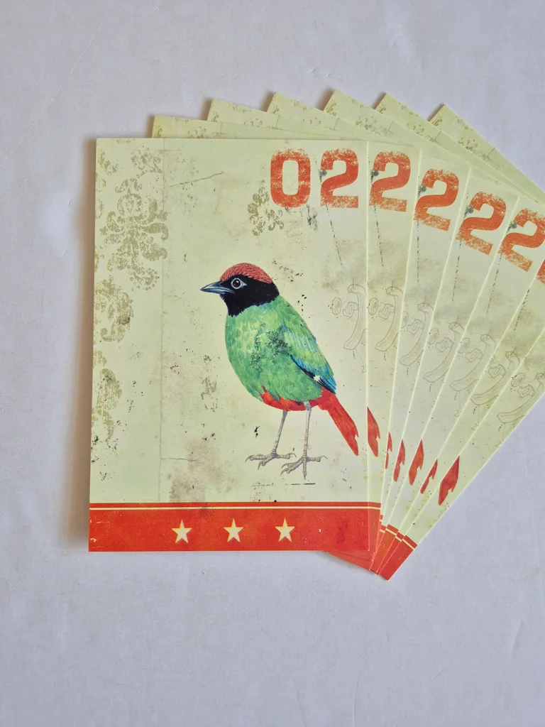 Bird Art Postcards photo 1