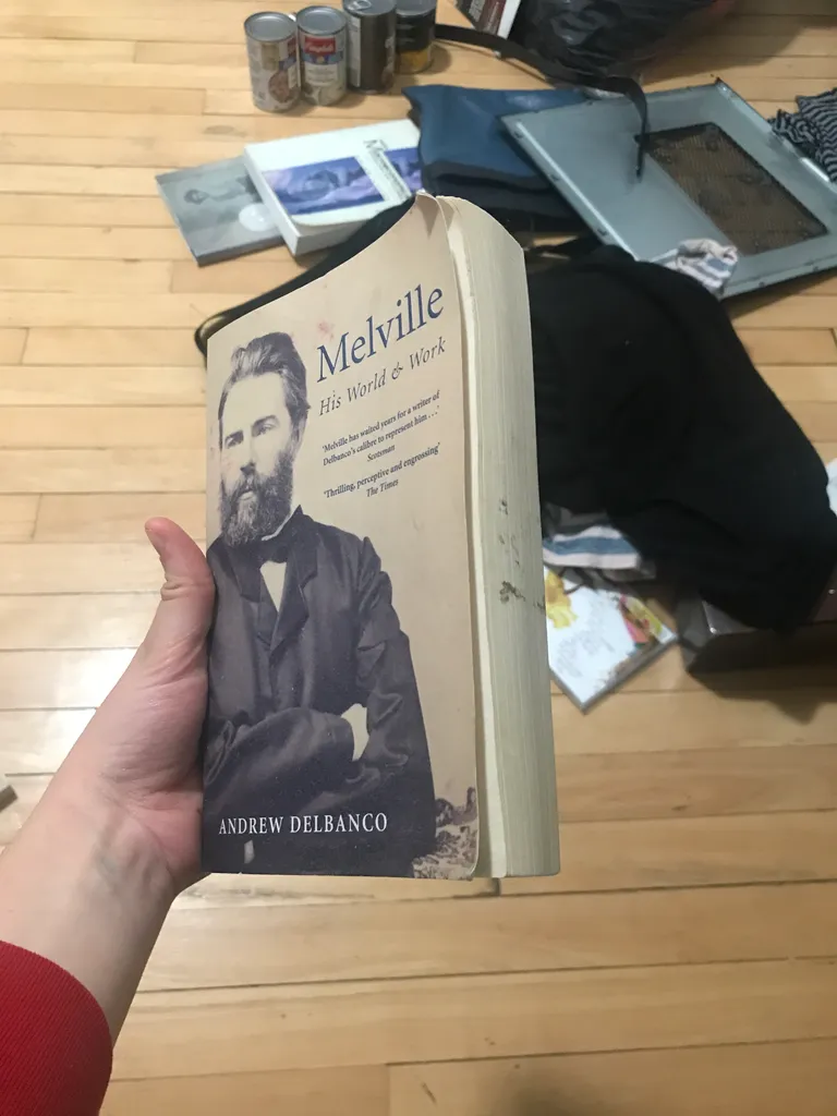 FREE biography of Herman Melville photo 1