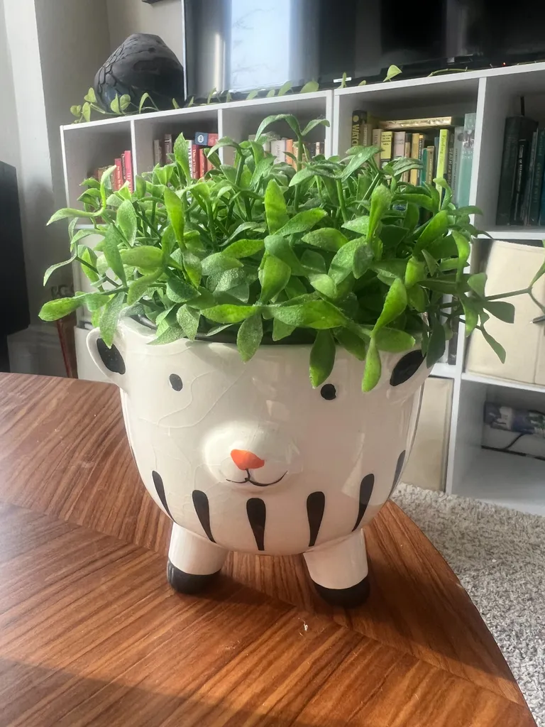 Sheep planter photo 1