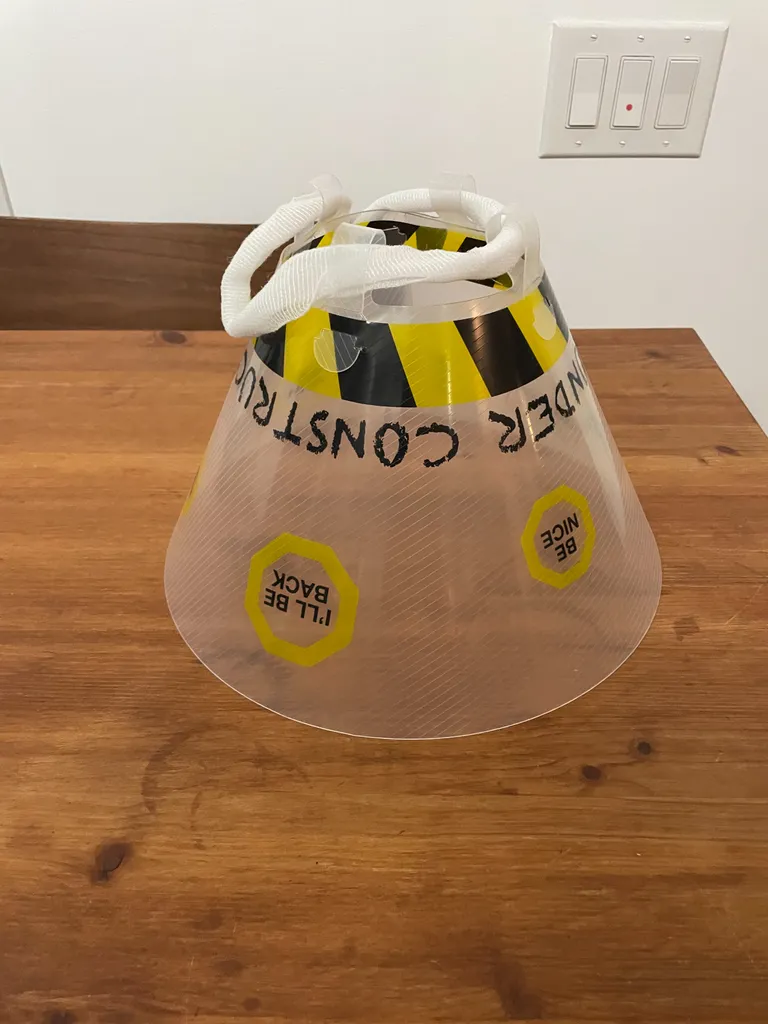 Free - dog cone photo 1