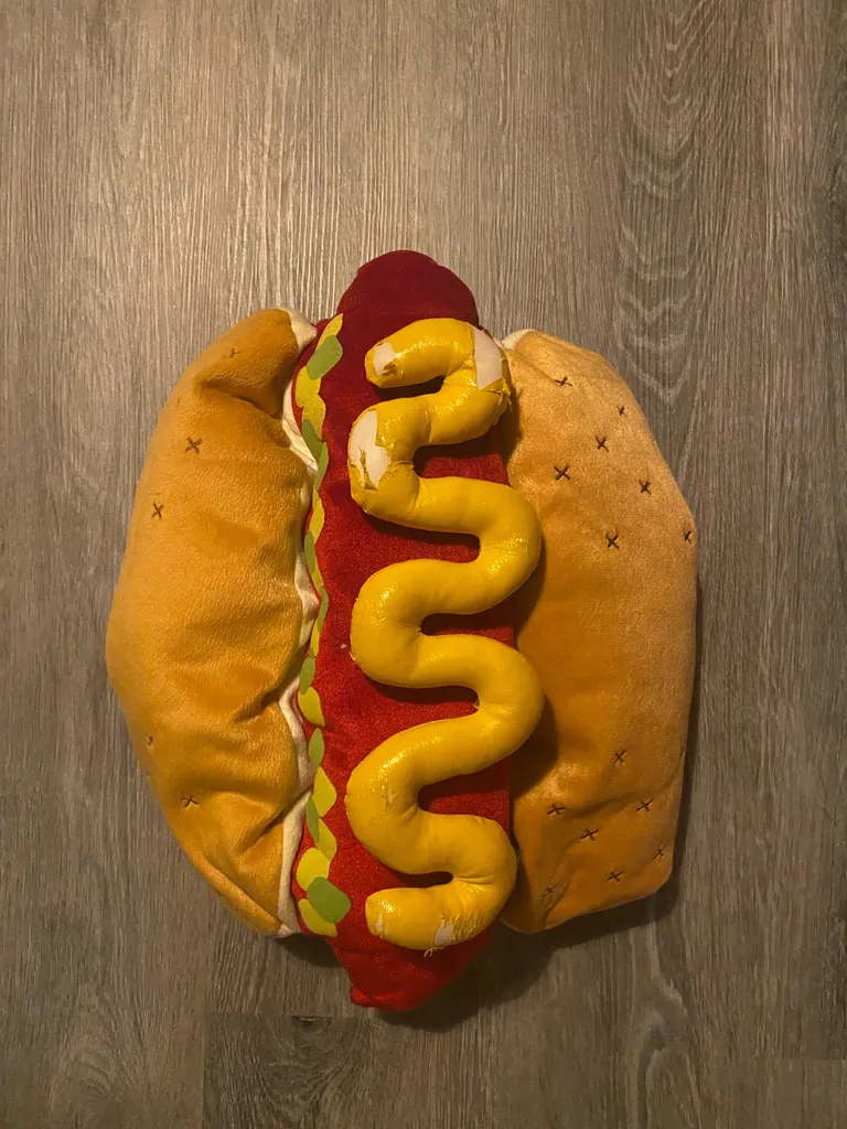 Hot Dog Pet Costume photo 1