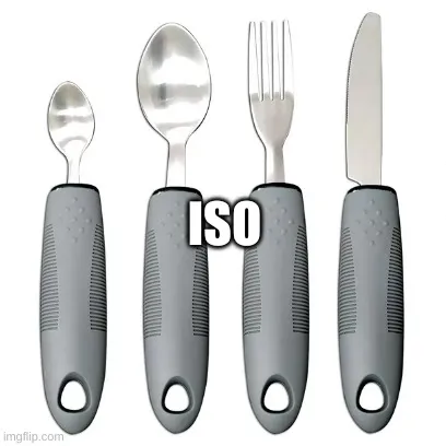 ISO - adaptive disability-friendly cutlery photo 1