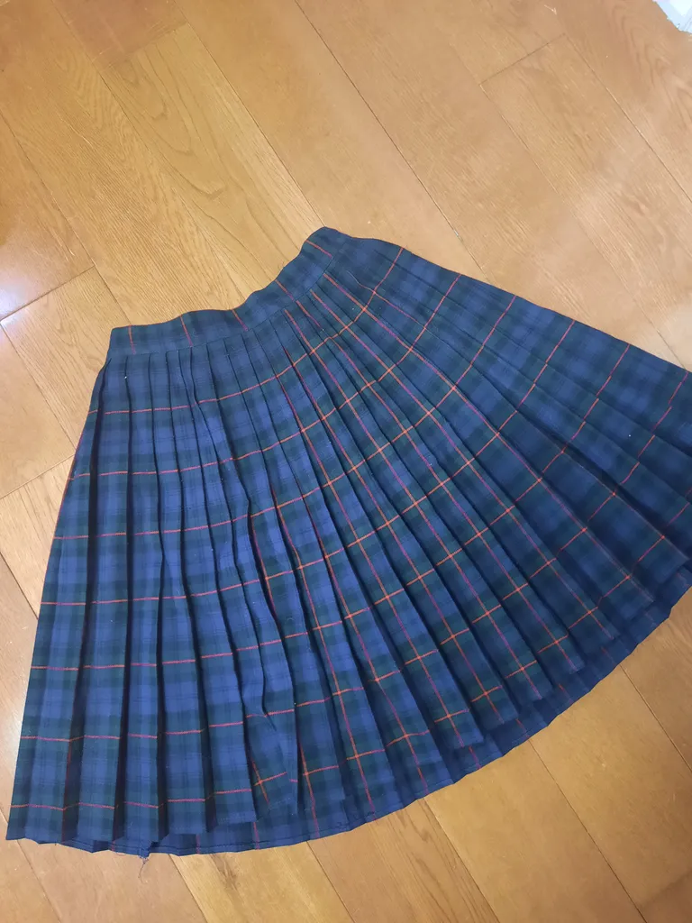 TRADED Vintage Pleated Skirt photo 1