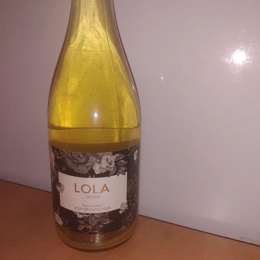 Dandelion wine photo 1