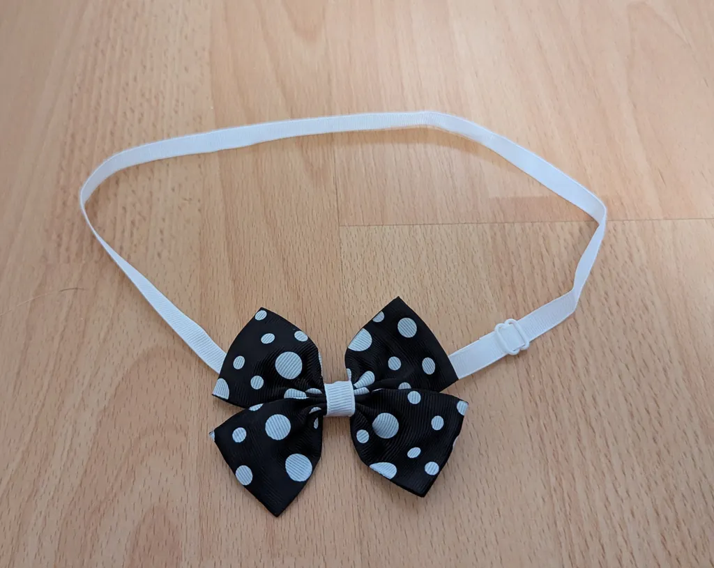 Polka Dot Dog Bow Tie - Black & White photo 1