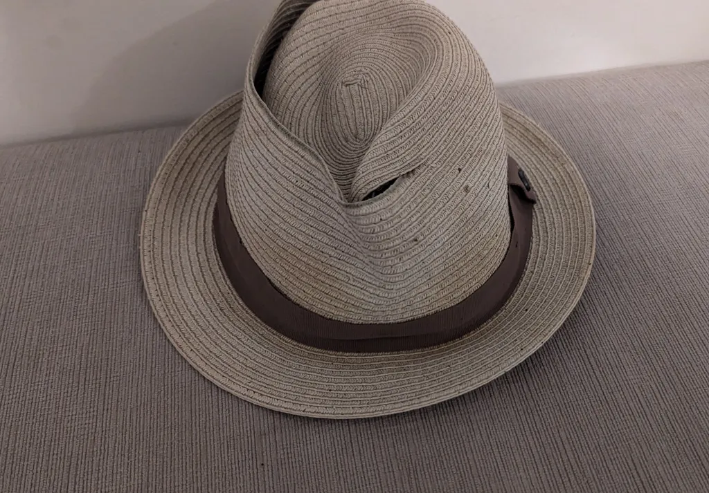 Straw Fedora Hat  photo 1