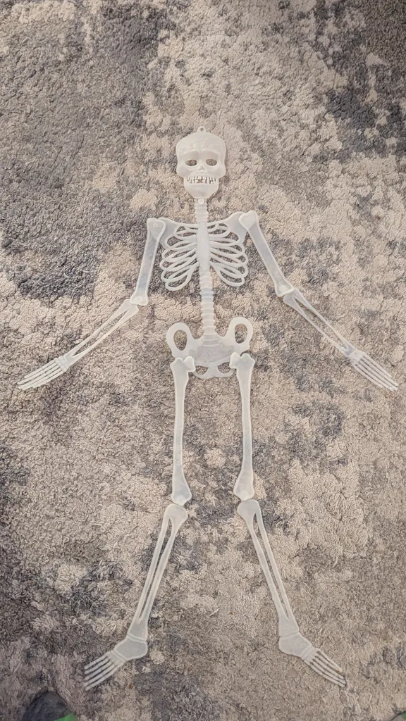 Skeleton Decoration photo 1