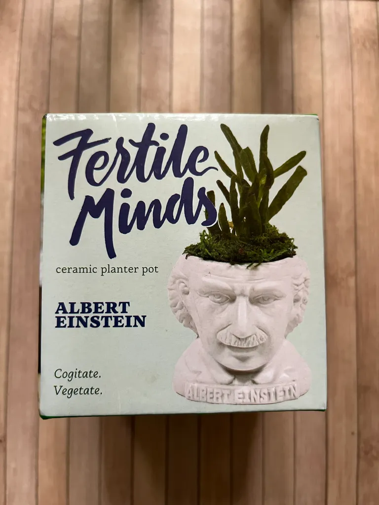 BN Albert Einstein planter photo 1