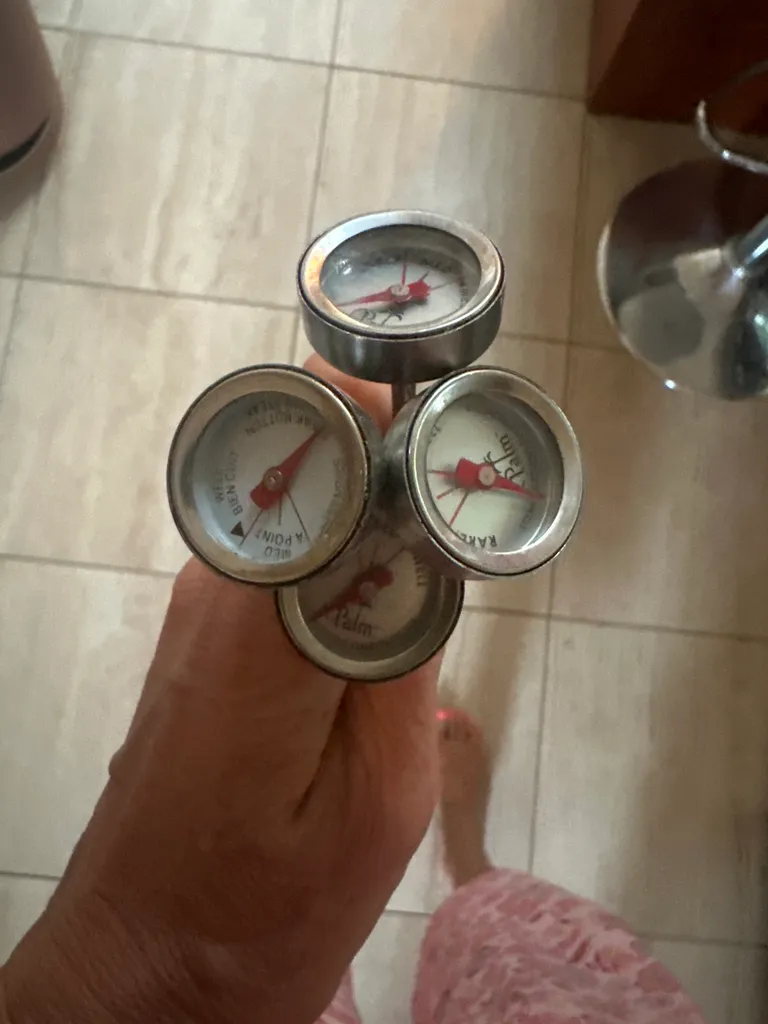 Little food thermometers photo 1