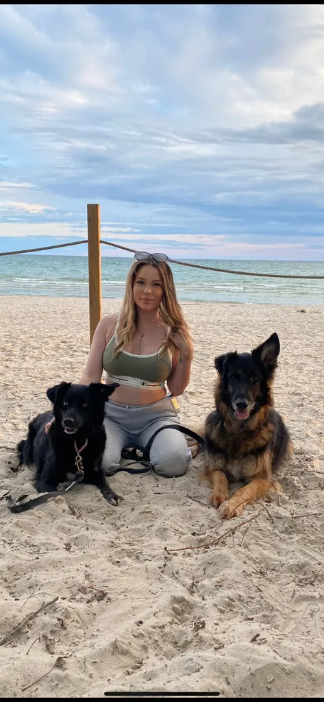 Dog Sitter Needed photo 1