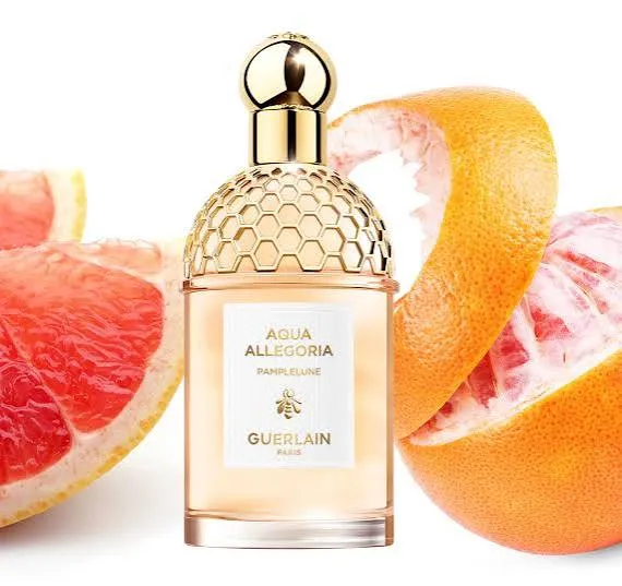 Aqua Allegoria Pampelune photo 1