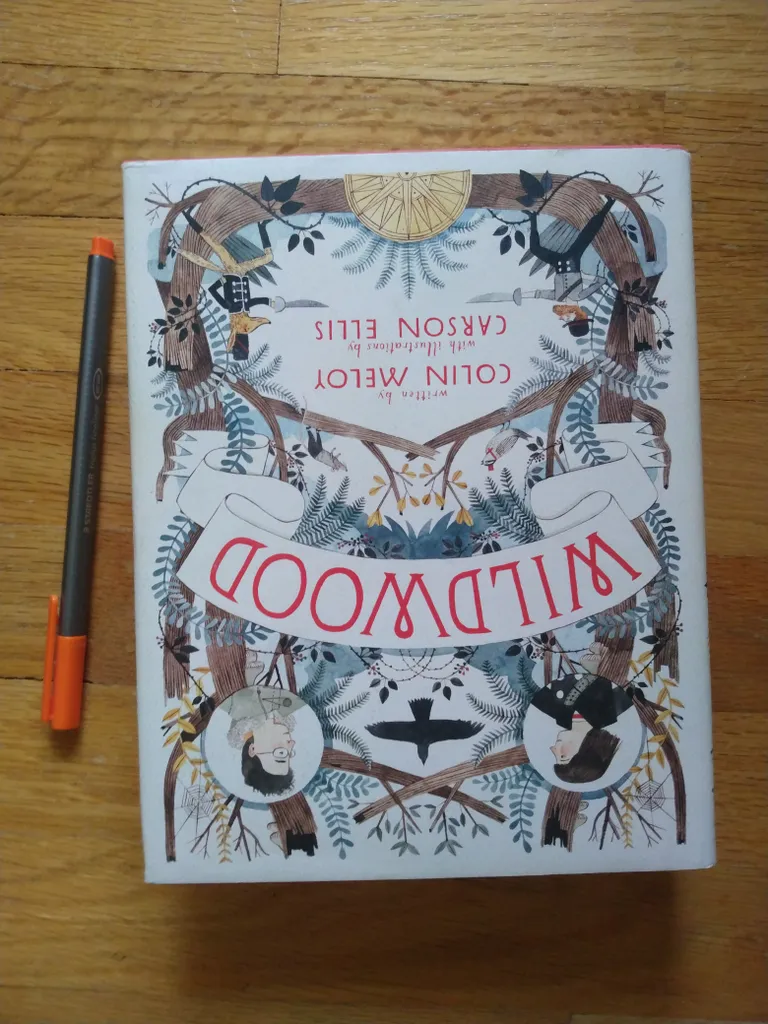 Wildwood hardcover kids novel book EUC photo 1