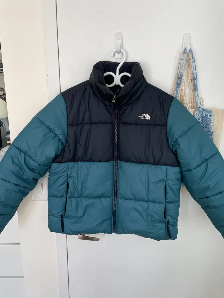 The North Face Puffer photo 1