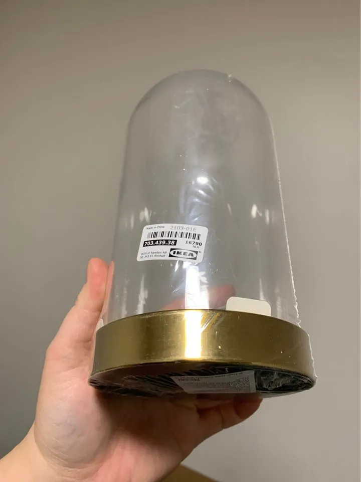 BEGAVNING Glass Dome photo 1