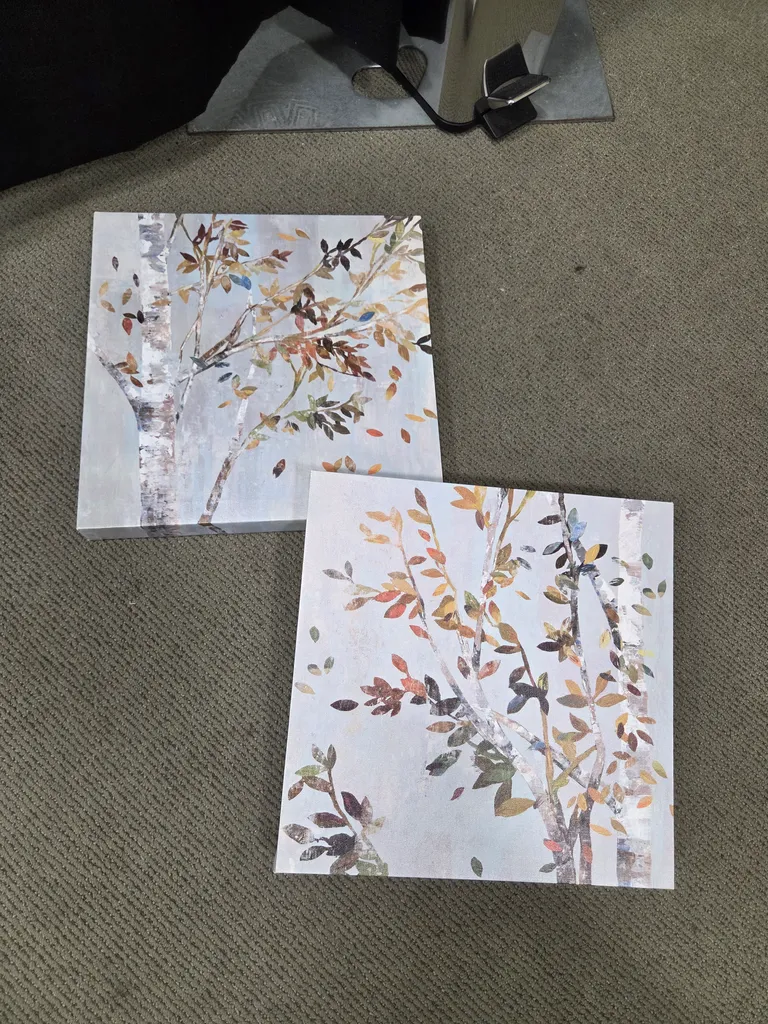 Birch tree prints  photo 1