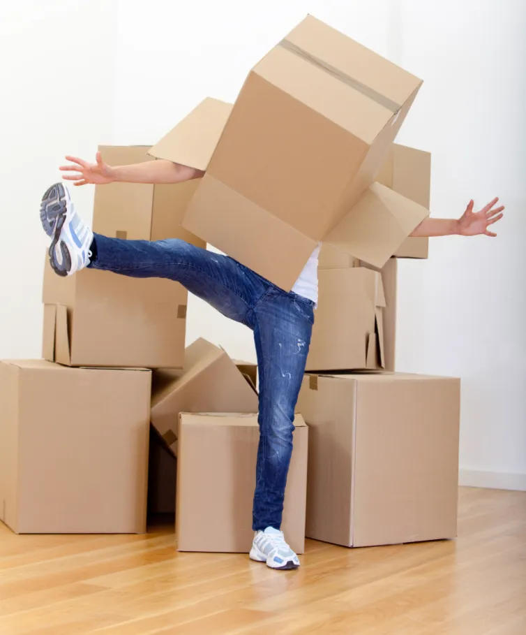 ISO moving boxes  photo 1