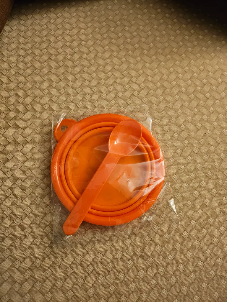 Collapsible Bowl and Spoon photo 1