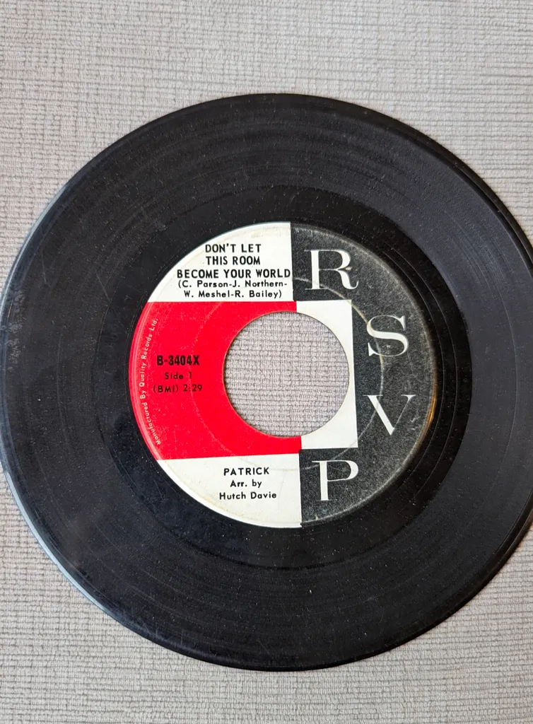 Vintage Vinyl Record - Don't Let this Room Become Our World photo 1