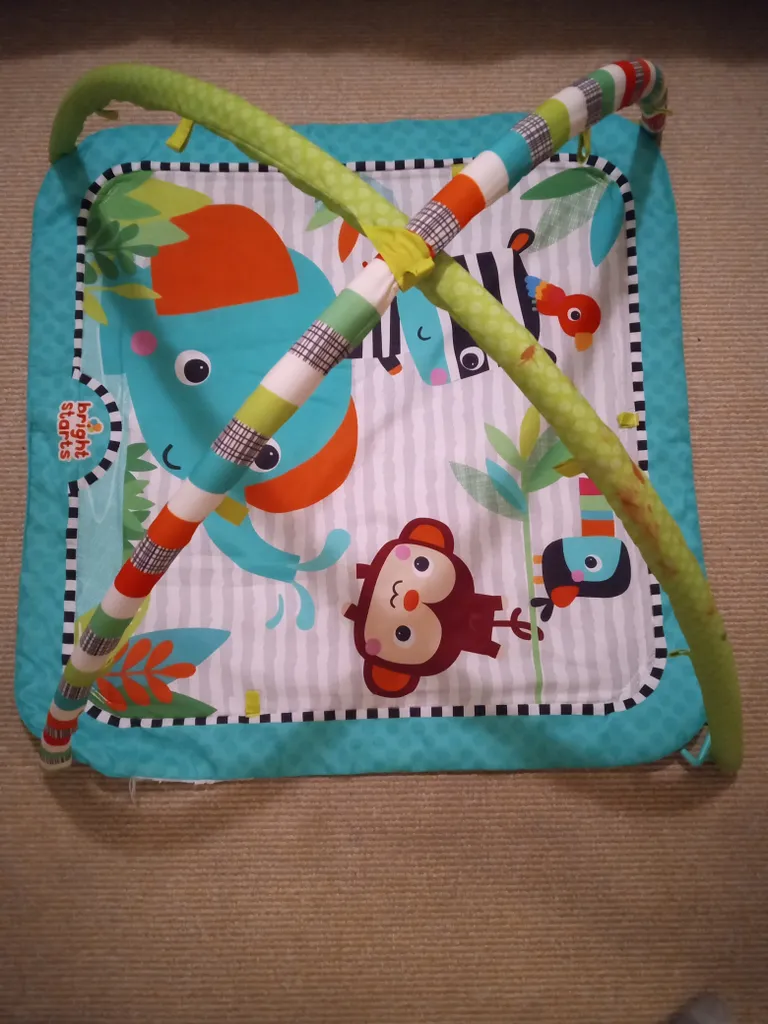 Baby play mat photo 1