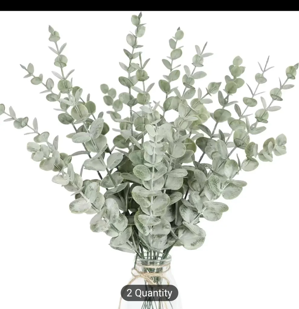 12 eucalyptus stems  photo 1